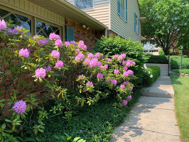 1010 Rock Spring Rd, House other with 4 bedrooms, 3 bathrooms and null parking in Bloomfield Hills MI | Image 42