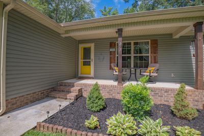 217 Shawna Ln, House other with 3 bedrooms, 2 bathrooms and 2 parking in Hillsboro TN | Image 3