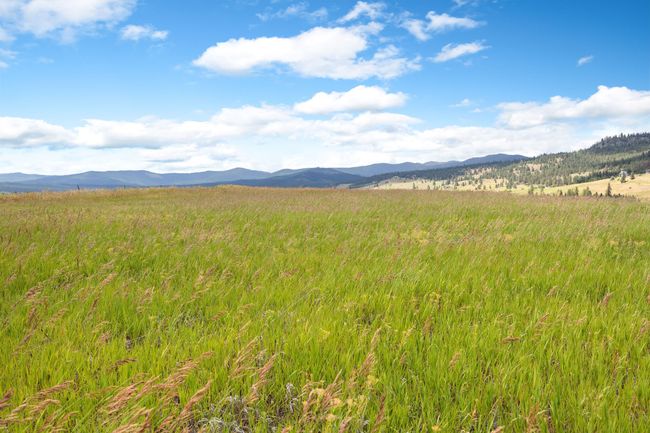 LOT-2C - NHN Lake Mary Ronan Road, Home with 0 bedrooms, 0 bathrooms and null parking in Dayton MT | Image 45