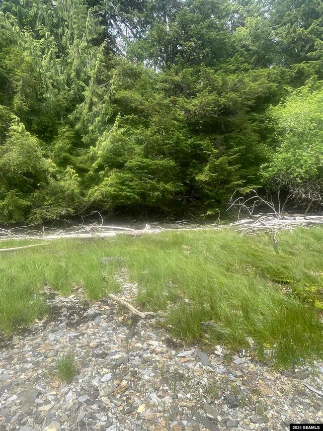 LOT-2-BLOCK-1 - NHN Legal Address Only, Home with 0 bedrooms, 0 bathrooms and null parking in Ketchikan AK | Image 17