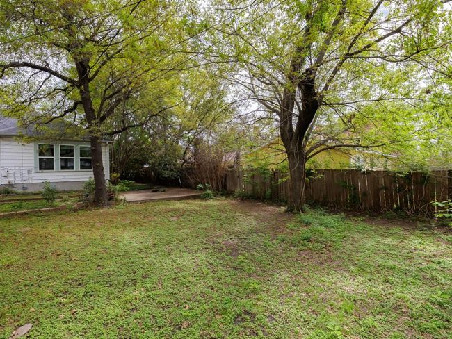 We have permit to remove large tree towards middle of the yard. | Image 26