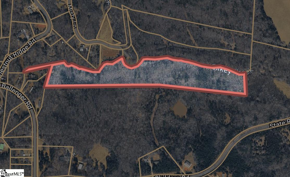 Land in Gaffney 4