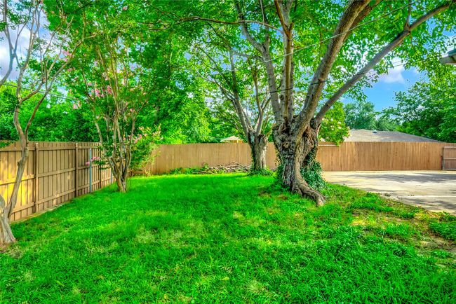 View of yard | Image 38