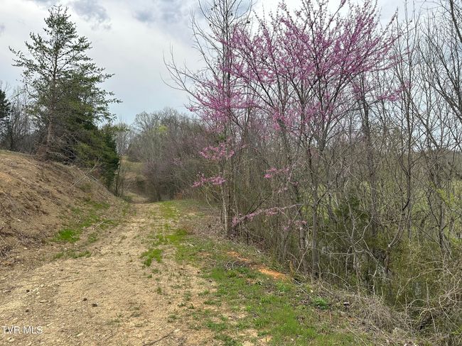 349 Old Highway Rd, Home with 0 bedrooms, 0 bathrooms and null parking in Bulls Gap TN | Image 15