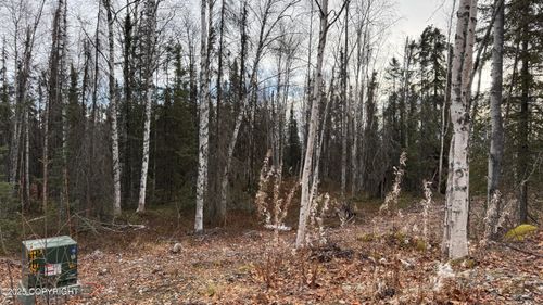 673 N Wilhelm St, Houston, AK, 99623-0733 | Card Image