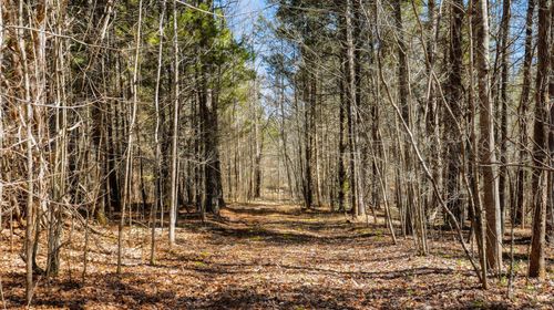 0 Fowler Rd, Beech Bluff, TN, 38313 | Card Image