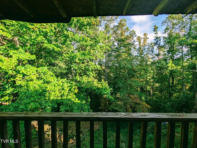 2509 Dc Caney Ridge Rd, House other with 3 bedrooms, 2 bathrooms and null parking in Clintwood VA | Image 79
