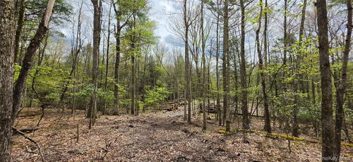 Lot 82 Perry Pond Rd, Narrowsburg, NY, 12764-5252 | Card Image