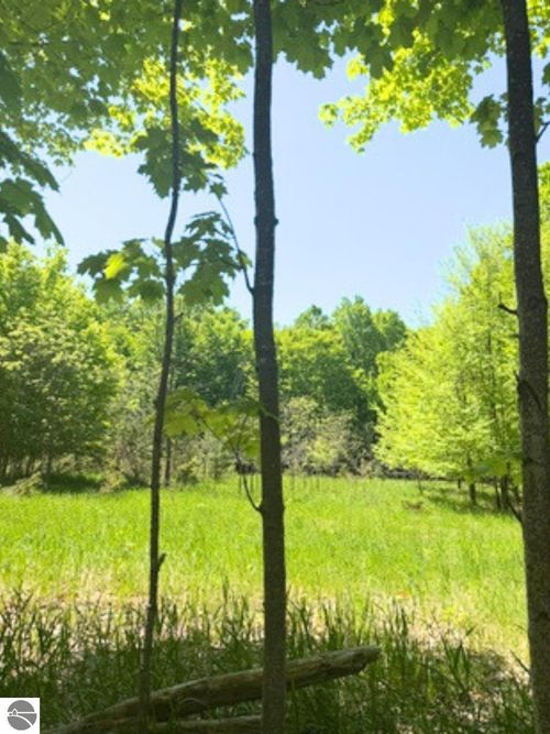 VL Loomis Rd, East Jordan, MI, 49727 | Card Image
