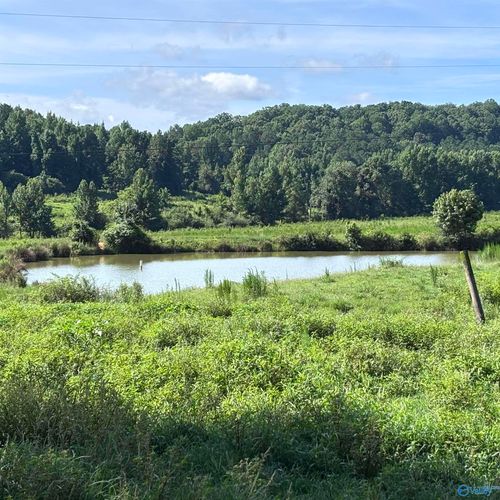 97 acres County Road 611, Valley Head, AL, 35989 | Card Image