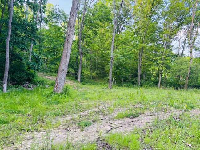 0 Laurel Rd, Home with 0 bedrooms, 0 bathrooms and null parking in Laurel IN | Image 4