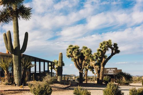 57874 Sunny Sands Dr, Yucca Valley, CA, 92284-1134 | Card Image