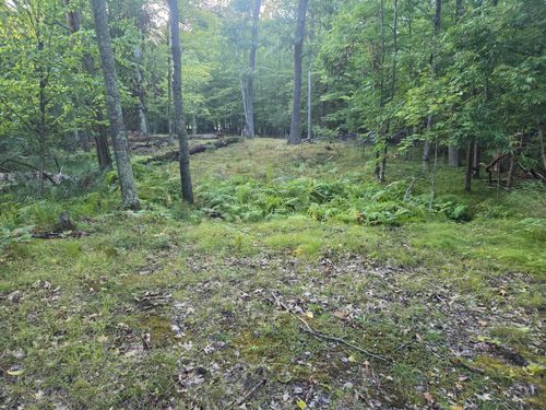 TBD 484th St, McGregor, MN, 55760 | Card Image