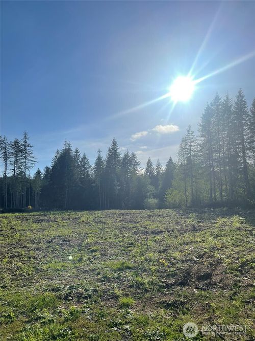 14253 W Cloquallum Rd, Elma, WA, 98541-9659 | Card Image
