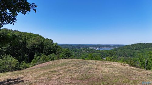 Tracts 4&5 Rocky Branch Rd, Guntersville, AL, 35976 | Card Image