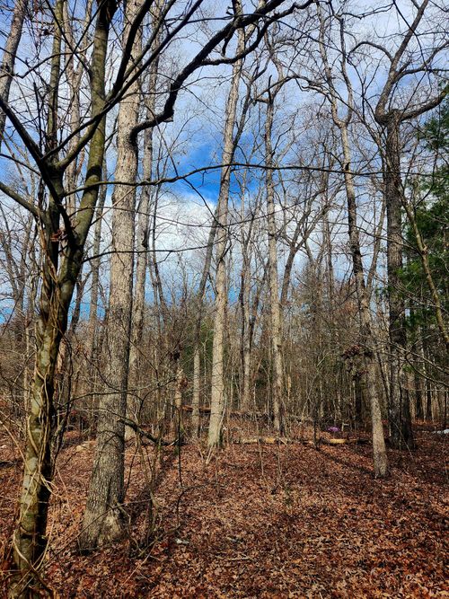 0 Brown Creek Dr, Crossville, TN, 38571 | Card Image