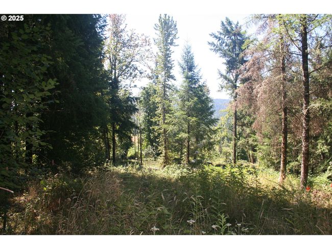 3647 Briar Knob Loop Ne, Home with 0 bedrooms, 0 bathrooms and null parking in Scotts Mills OR | Image 9