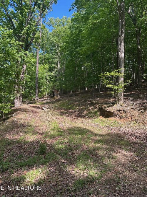 490 Foxridge Ln, Caryville, TN, 37714 | Card Image