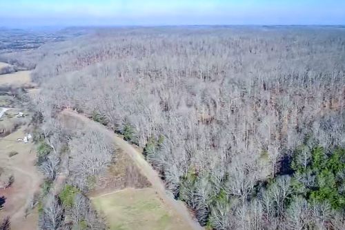 0 Mayberry Prong Rd, Linden, TN, 37096 | Card Image