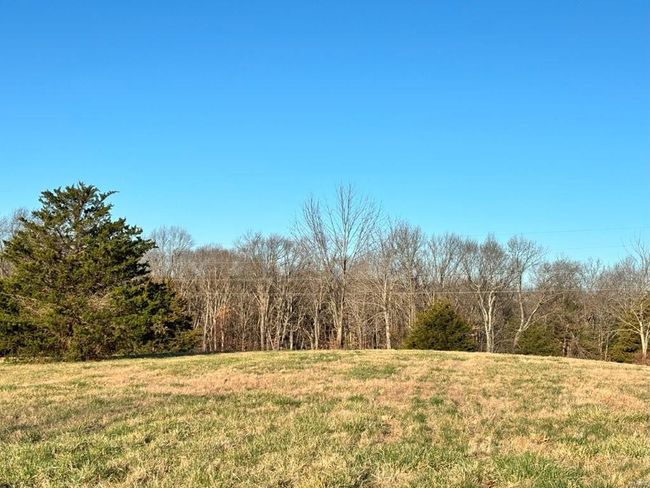 View of local wilderness | Image 6