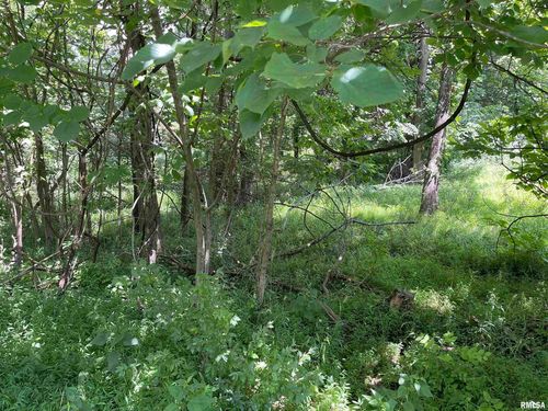 Lot 246 Mark Dr, Goreville, IL, 62939 | Card Image