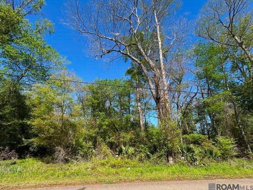 Lot 24 La Trace Rd, Livingston, LA, 70754 | Card Image