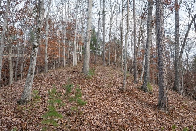 109 Misty Water Loop, Home with 0 bedrooms, 0 bathrooms and null parking in Sunset SC | Image 16