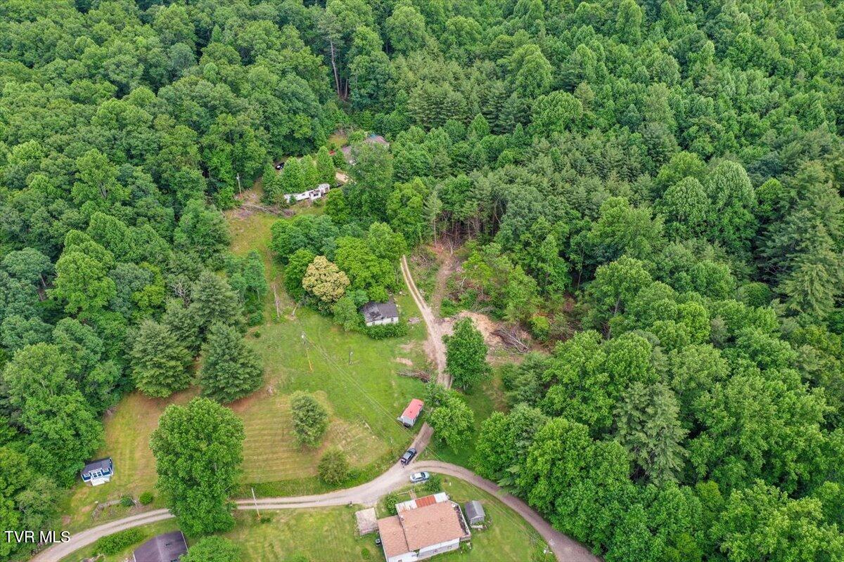 Land in Laurel Bloomery 3