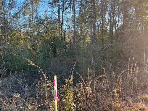 Tbd Goreville Ave, ALFORD, FL, 32420 | Card Image