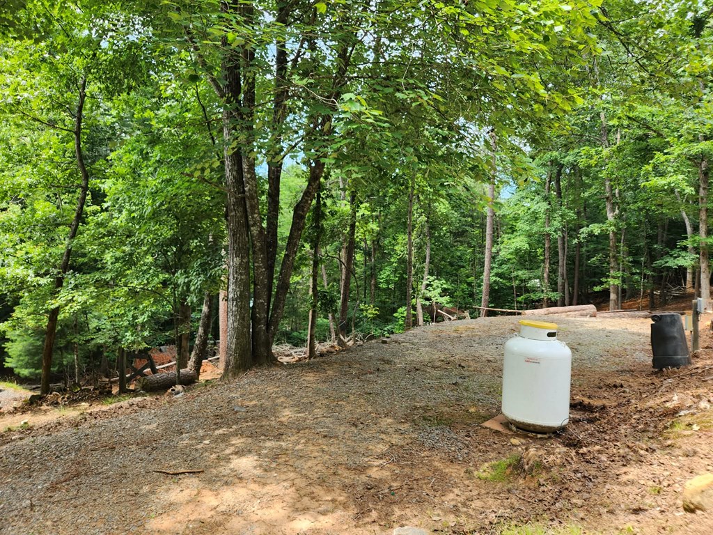 Land in Ellijay 2
