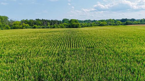 Lt1 3 Mile Road, CALEDONIA, WI, 53406 | Card Image