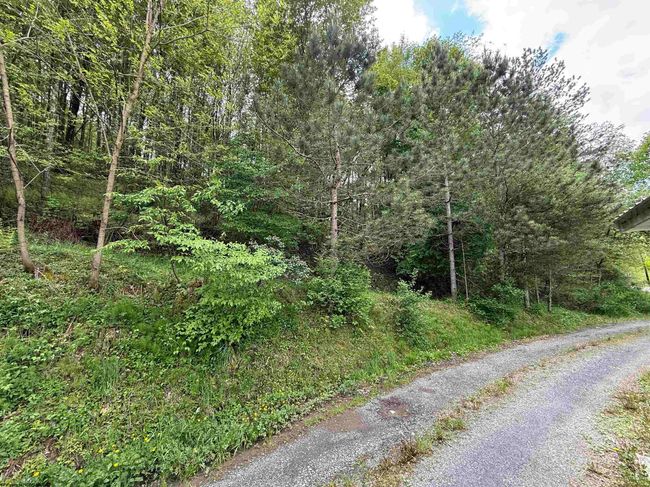 2610 Maple Spring Hwy, House other with 3 bedrooms, 3 bathrooms and 3 parking in Eglon WV | Image 28
