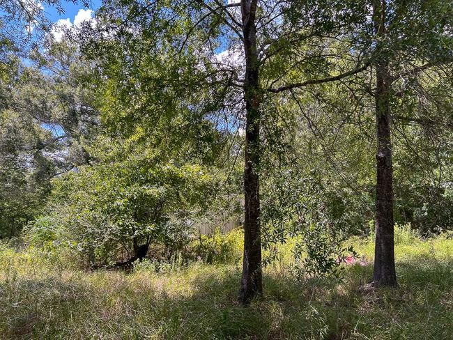 1 Avenue C, Home with 0 bedrooms, 0 bathrooms and null parking in Batson TX | Image 13