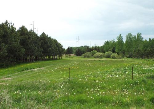 12557 150th Ave, Foreston, MN, 56330-9500 | Card Image