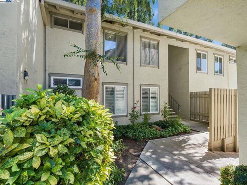 apt-206-1241 Homestead Ave, Walnut Creek, CA, 94598-2824 | Card Image