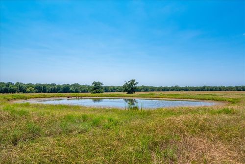 tbd Bonham St, Ladonia, TX, 75449 | Card Image