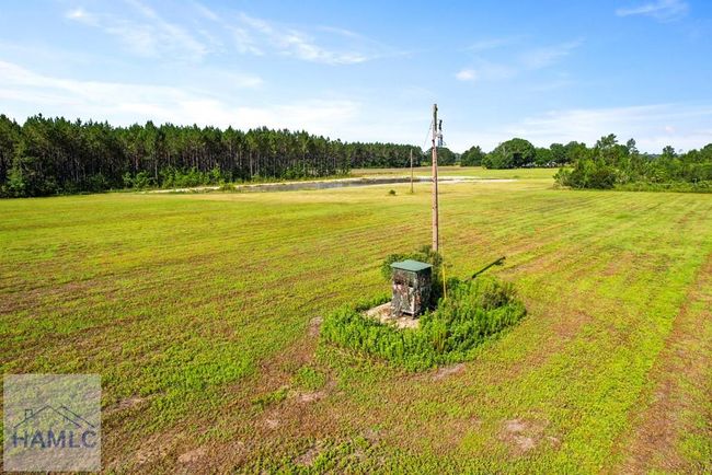 299 Collins Loop, Home with 0 bedrooms, 0 bathrooms and null parking in Odum GA | Image 12