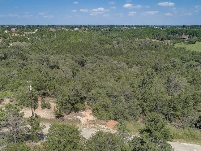 20 Tall Forest Dr, Home with 0 bedrooms, 0 bathrooms and null parking in Bastrop TX | Image 36