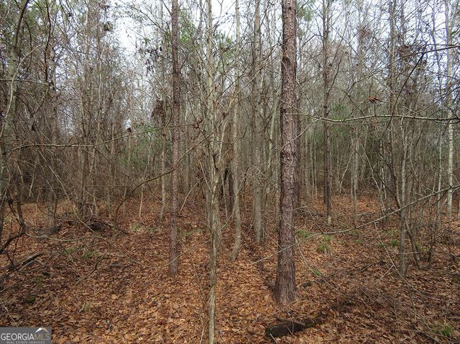 1 Cool Branch Rd, Home with 0 bedrooms, 0 bathrooms and null parking in Georgetown GA | Image 5
