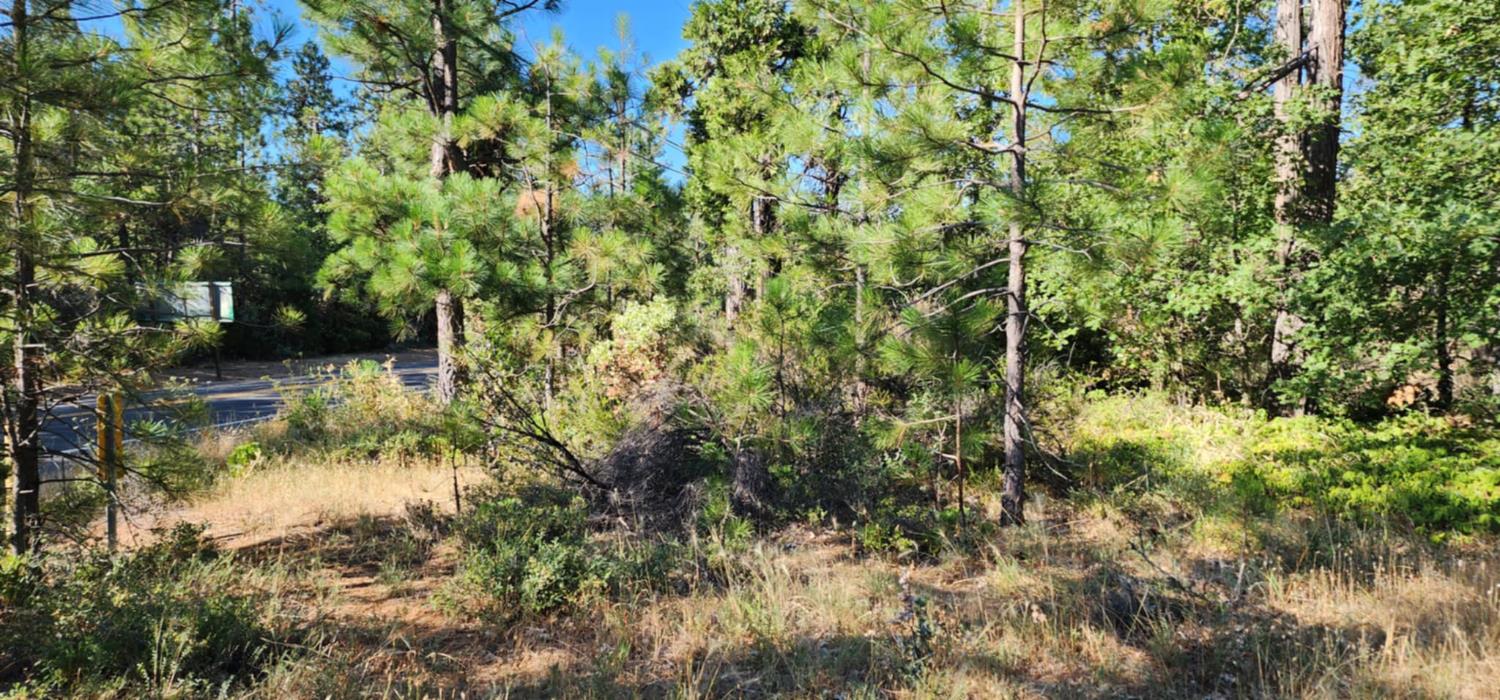 Land in Brownsville 3