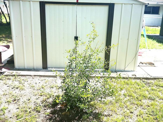 2010 Warrington Way, House other with 4 bedrooms, 2 bathrooms and null parking in TAMPA FL | Image 13