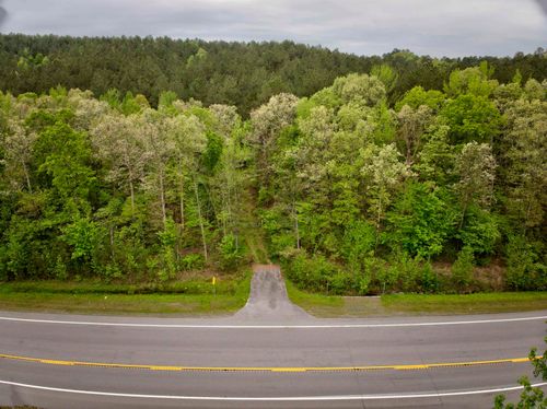 9319 Albert Pike Rd, Royal, AR, 71968-8225 | Card Image