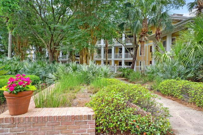 Beautiful grounds | Image 27