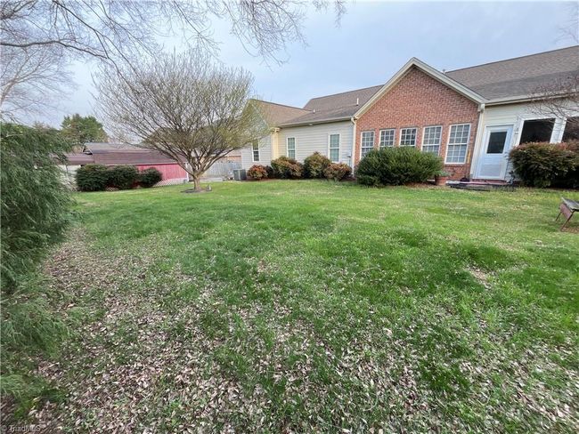 Back yard | Image 10