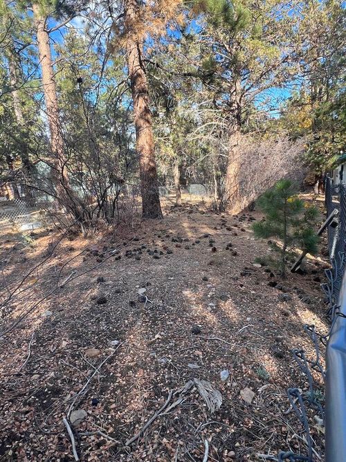 569 Victoria Ave, Sugarloaf, CA, 92386 | Card Image