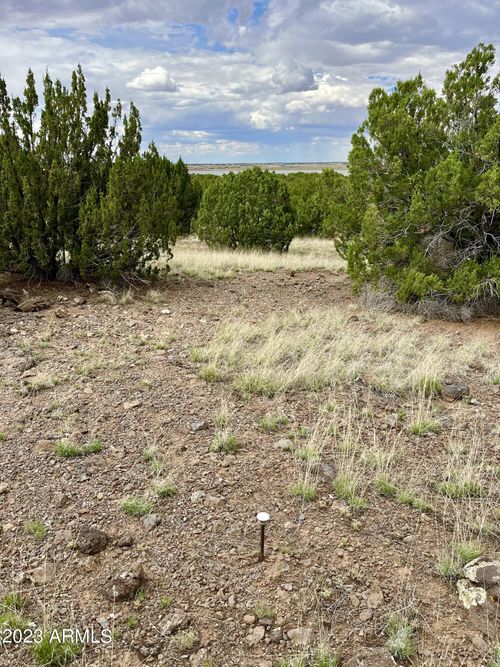 42-TBD Concho Hwy, Concho, AZ, 85924 | Card Image