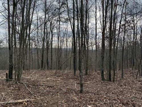 Tract 11 S Pittsburg Mountain Rd, South Pittsburg, TN, 37380 | Card Image