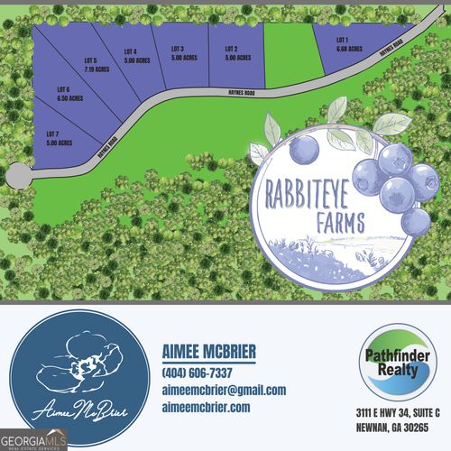 LOT 6 Haynes Rd, Moreland, GA, 30259-2672 | Card Image