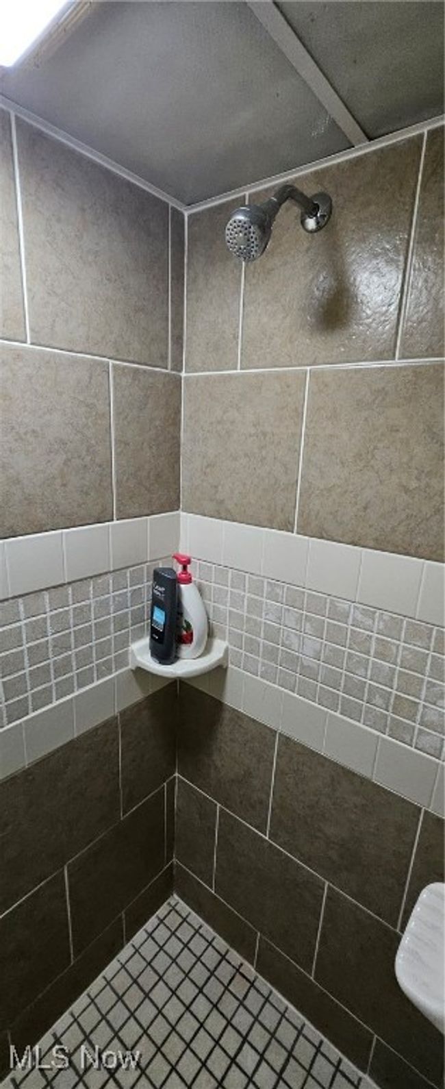 basement-dual showerhead | Image 41