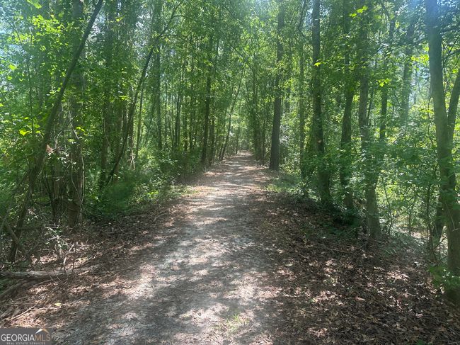 925 Cleary Rd, House other with 3 bedrooms, 2 bathrooms and null parking in Brooklet GA | Image 39